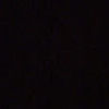 morde_samet